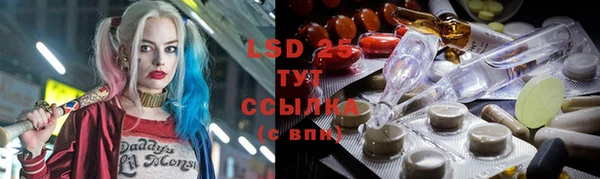 крисы Бронницы