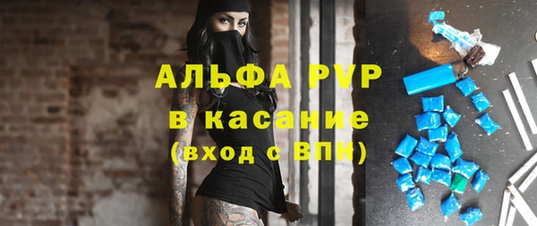 крисы Бронницы