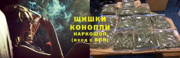 крисы Бронницы