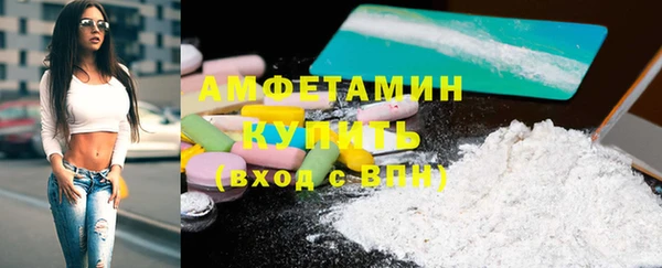 крисы Бронницы